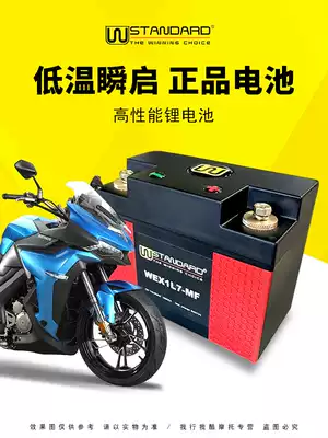 US W-STANDARD Shengshi 310 ZT310-X locomotive Zontes battery 310X USA W lithium battery