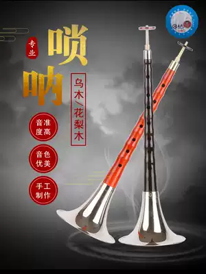 Tianjin Wang's Suona Musical Instrument Beginner Professional Complete Ebony Rosewood D-tone Horn National Musical Instrument