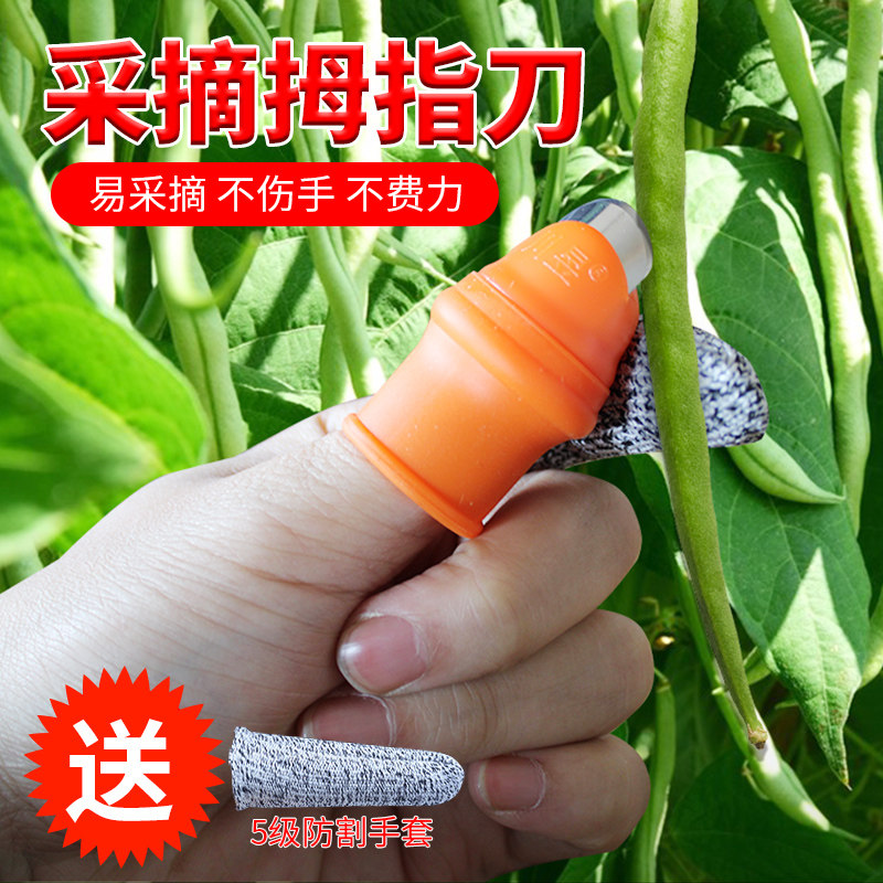 Picking tea gloves artifacts with grape tip iron fingernails for agricultural picking bean horn cut chili pepper thumbknife