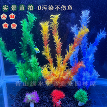 Fish tank real shot simulated aquatic plants background lazy aquarium green chrysanthemum plant landscaping heart-shaped grass decorative ornaments negative