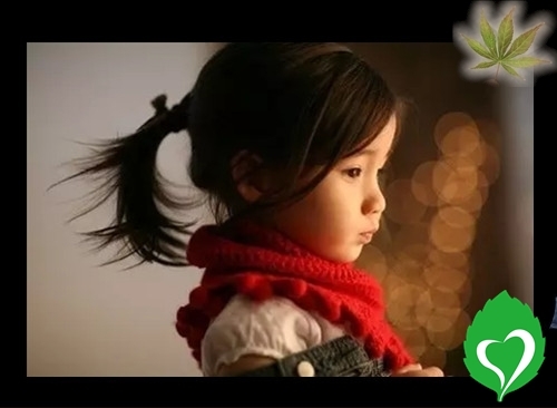 Satir Professional Edition 4-stage 10-year parent-child relationship parent growth class Psychology