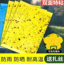 Fruit fly trapping decal-shaped sticky insect board yellow board rose insecticidal hanging yellow board insect-proof yellow board yellow blue orchard tea garden