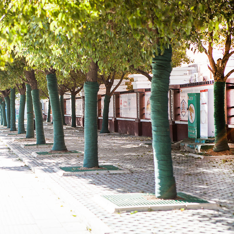 Trees Keep Damp Cloth Winter Tangles Cloth Fruit Trees Wrap Cloth Bandages Guard Tree Cloth Antifreeze Cloth Sunscreen Cloth Trees Keep Warm 