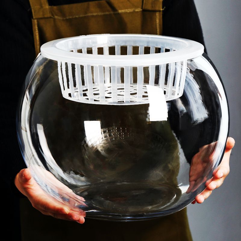 Hydroponic plant glass bottle transparent vase hydroponic gold Ge flower fish fish tank large container living room swing piece