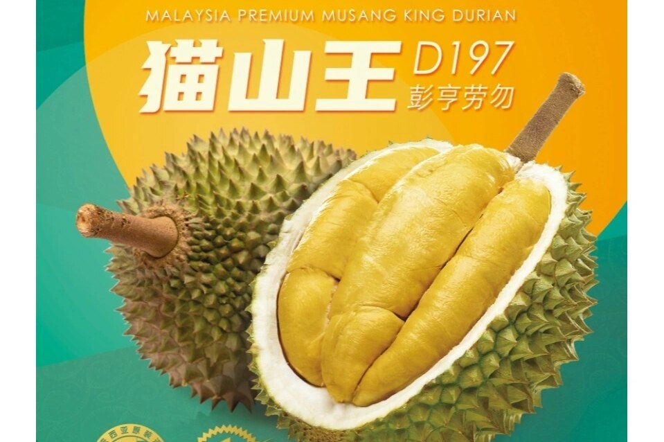 happy happy brand Malaysia's new seasonal liquid nitrogen durian boutique AA Mao Shan Wang D197 guarantee 5 room pulp