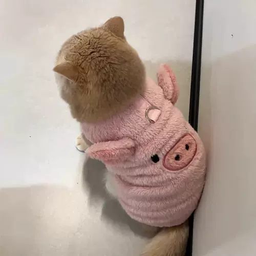 Удерживающий тепло утепленный милый шнурок-держатель, бретели