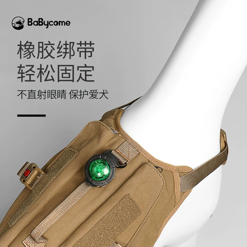 Babycom Pet Lights Night Walk Dog Lights Light Dog Defense Light Light Light Light Projectives Светодиодный воротник