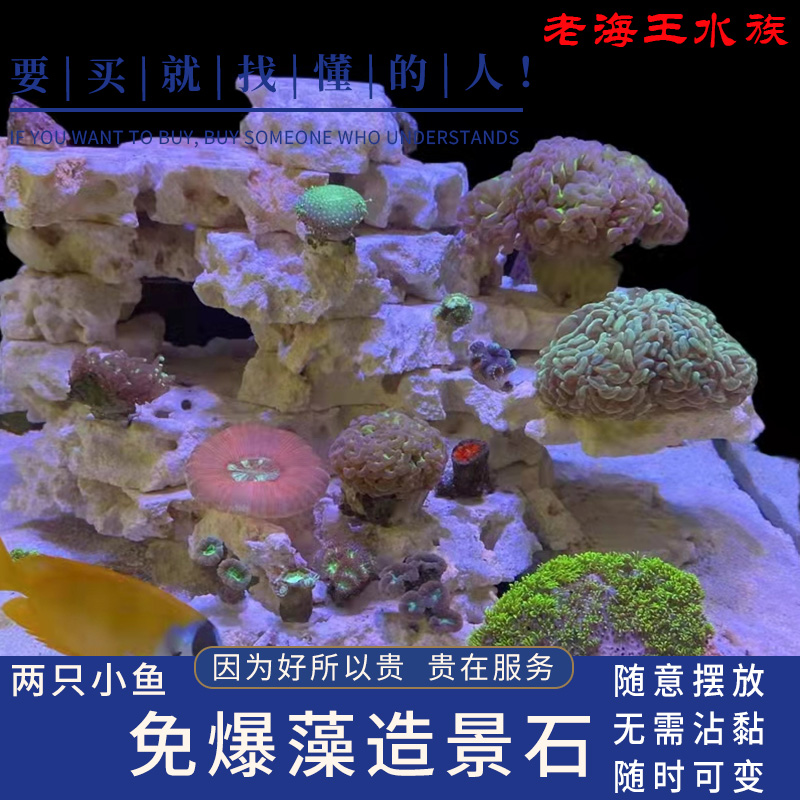 Two small fish landscaping stones inspired by sea tank cultivation landscaping stones free of storm algae STAX natural landscaping stones placed randomly