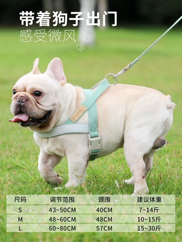 Повод собаки, маленькая собака плюшевого жилета, грудь Бишон Хироми