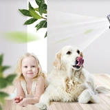 Перионечные духи, аромат кошки, удаление запаха мочи кошки, запах