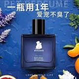 Перионечные духи, аромат кошки, удаление запаха мочи кошки, запах