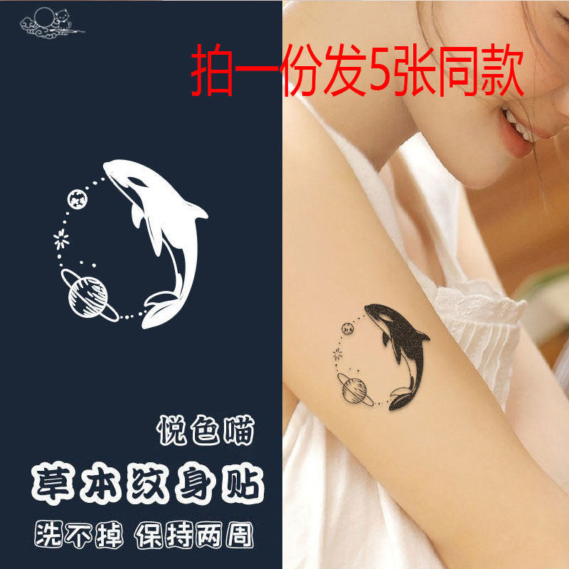 Small fresh planet Dolphin lockbone wristwrist juice tattoo with semi-waterproof woman persistent arm tattoo