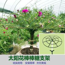 Sunflower bracket shelf lollipop flower rack crab claw orchid grafting Leaf Fairy Green Dillo single multi-layer support climbing vine shape