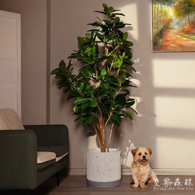 High-end simulation green plant rubber banyan tree room in living room window falling green plant pot decoration