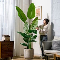 High-End Artificial Plant Bird of Paradise Traveler's Banana Potted Plant Landscaping Decoration Indoor Artificial Green Plant Living Room Floor-Standing Decoration