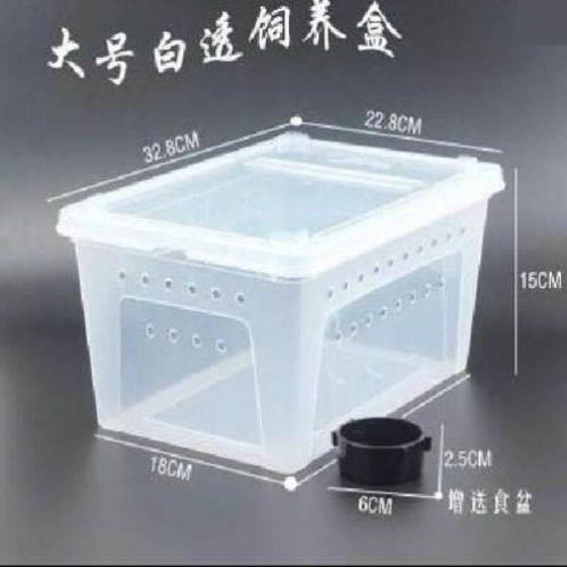 Earthworm breeding box compost box special box high transparent plastic breeding box breathable bread worm live bait red worm protection