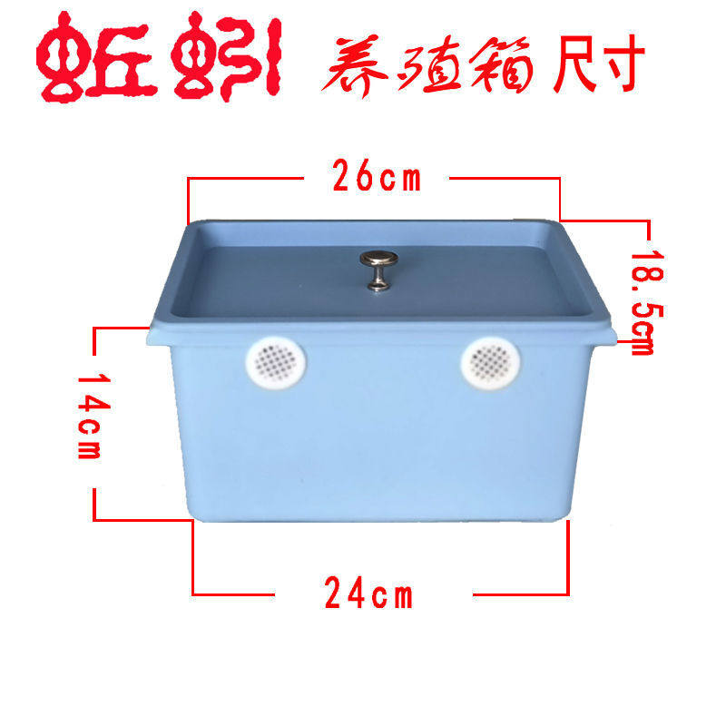 Earthworm breeding box earthworm box live earthworm storage box mound introduction breeding feed indoor breeding box