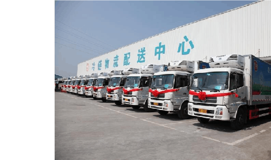 善管erp(服饰公司erp)