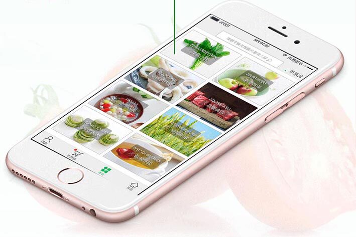 定制app大概多少钱(电力公司app)