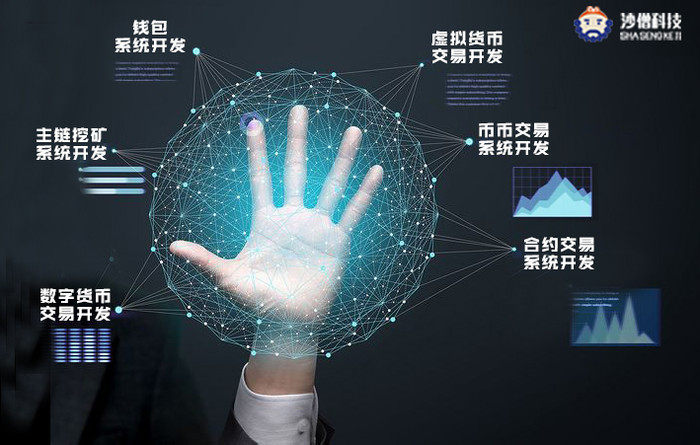 软件开发需要什么学历(it软件开发编程)