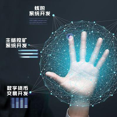 软件开发该如何学习(软件开发毕业设计)