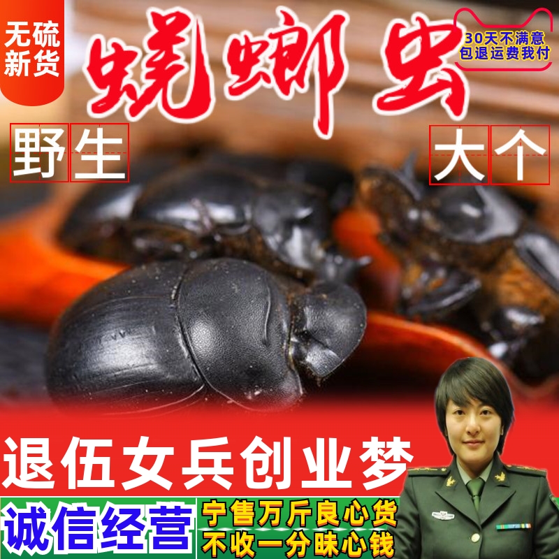 Chinese herbal medicine shit shell groom clear water no salt large general dung beetle pushing dung beetle black hood 250g-Taobao