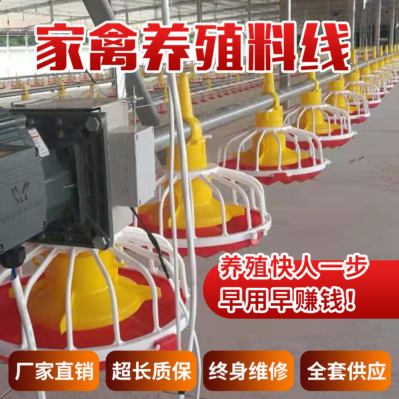 Farm water line feed line chicken automatic feeder auger feeding feeding equipment drinking water complete lifting system