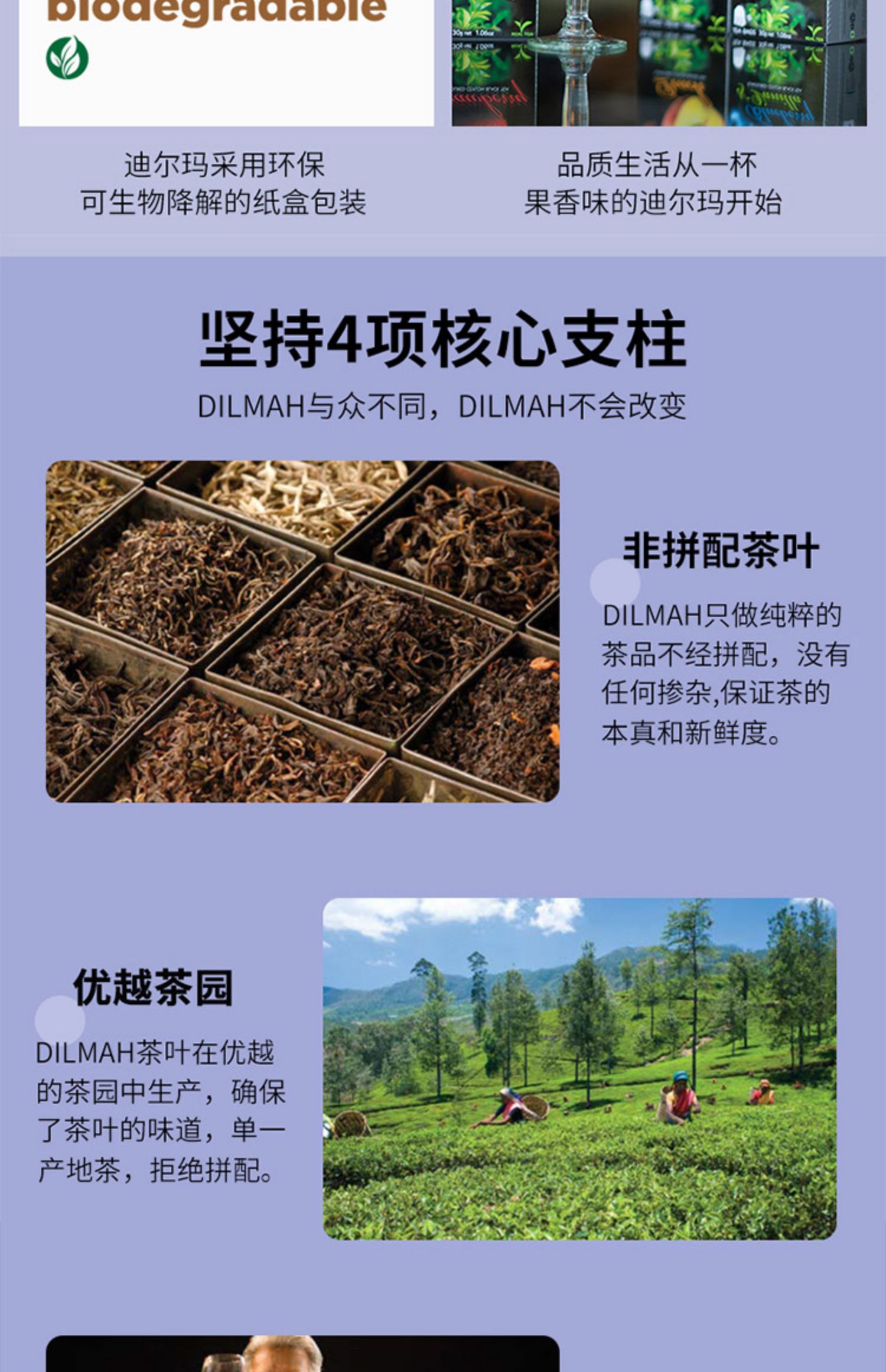 Dilmah迪尔玛伯爵红茶包