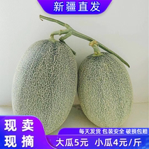  Xinjiang straight-haired cantaloupe FCL Turpan Xizhou honey mesh large melon Fresh seasonal fruit can be Shunfeng