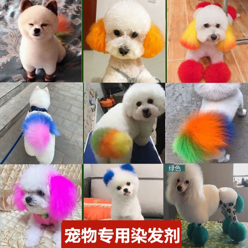 Pet Dyed Hair Dye Hair Cream Pooch Hair Dye Hair Pet Special Dog Hair Dyed Hair Cream Bony Items Meme Hair