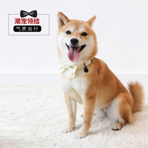 Pet Collar pooch Necktie Minimalist Cat Neck Ring Butterfly Knot Decoration Collar Small Mid Sized Pet Accessories