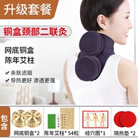 Двойное соединение шейки матки+2 медная коробка+54 Агент Azhu+Acupoint Map+теплоизоляция