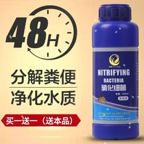 Fish tank water purifier sterilization water change supplies water purifier nitrifying bacteria universal fish medicine no water change fish farming capsules