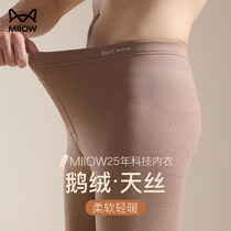 Catman DeRong Heating Seamless Warm Pants Mens Velvet Thickened Autumn and Winter Thin Cotton Wool Pants Inner Threading Pants Leggings