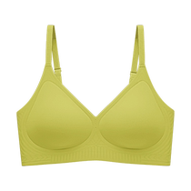 Catman Seamless Bra for Women with Small Breasts Thin Small Breast Retention Preventing Sagging Beautiful Back No Wires Soft Support Bra