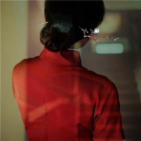 New Chinese-style hairpin women's ancient style simple high-end daily hairpin hairpin hairpin Hanfu niche headwear accessories retro