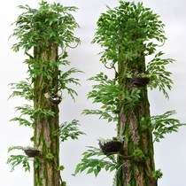 Gas and gas pipeline shielding decorative shielding simulation tree skin bag pillar sewer fake bark balcony fire pipe