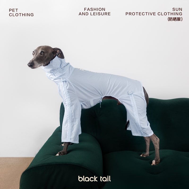 Black Tail·Dog Raincoat for Medium and Large Dogs, Suitable for Both Rain and Shine