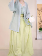 Старинное пальто 宴平汉服 夏季日常四色女款天丝方领短衫