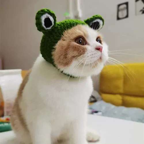 Кошка кошачья голова смешная, смешная лягушка головная одежда, шариковая голова свиньи Баджи Чунли собака Танга монаш