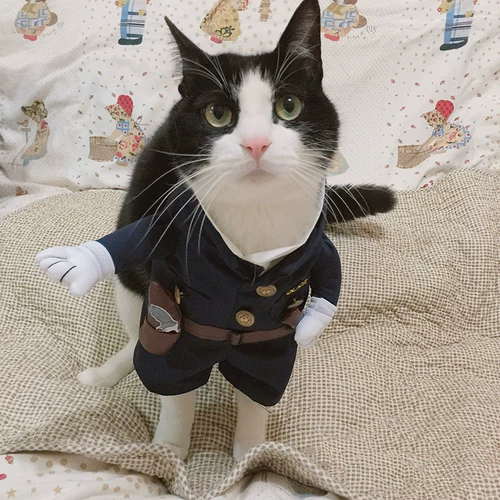 Смешная одежда для любимой собаки Golden Retriever Забавный черный кот Шериф Кэт Барби Тедди Фа Дубага Служба безопасности