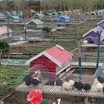 Customized adopted chicken farm wooden chicken coop chicken coop cage farm villa school rabbit cage chicken cage duck cage outdoor rainproof and anti-corrosion