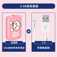 【20 Вт набор быстрого заряда】 Группа кроликов+1M Apple Line