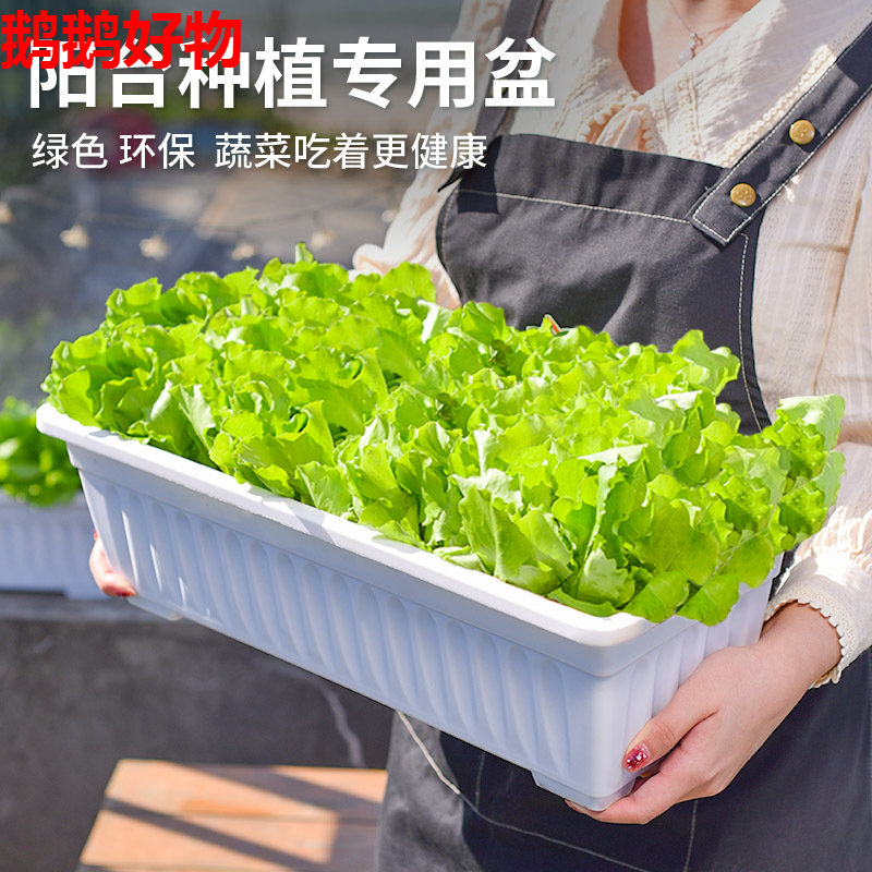 Vegetable special box planting pot plastic rectangular terrace vegetable planting box outdoor gallon flower pot planting artifact