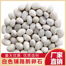 Shandong white pebbles garden landscaping balcony decoration small pebbles gravel natural landscape white stone