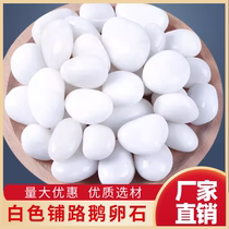 Jiangxi white pebbles wholesale decorative hair natural raw stone fish tank Yuhua stone garden paving garden landscaping