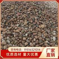 Hainan large river pebble lawn landscape lettering stone pebble river stone courtyard garden park landscaping stone