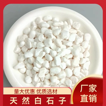 Chongqing Baishizi white stone white gravel natural white stone micro landscape pebbles Yuhua stone