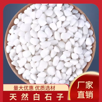 Jiangsu white stone white gravel natural small white stone white pebbles Yuhua stone succulent pavement stone fish tank