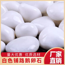 Guangdong white cobblestone paving white small stone garden landscape pebble flower pot natural courtyard landscaping